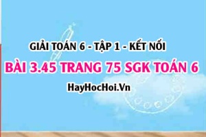 Giải bài 3.45 trang 75 Toán 6 Tập 1 SGK Kết nối tri thức